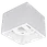 surface mounted downlight